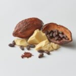 Shea Butter vs Cocoa Butter - What Your Body Skin Really Needs